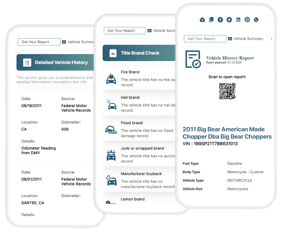 Photo of big bear history report