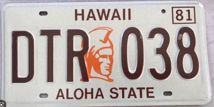 Photo of Hawaii license plate