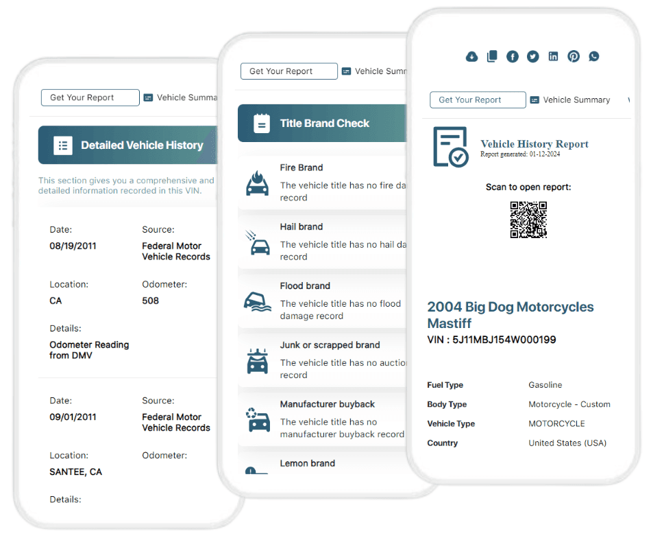 Photo of big dog history report