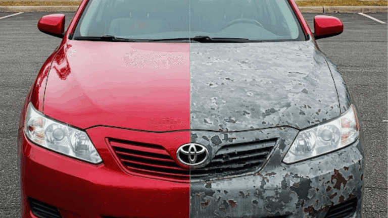 Photo of Service History check