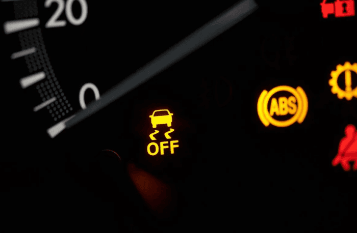 Photo of Traction Control Light