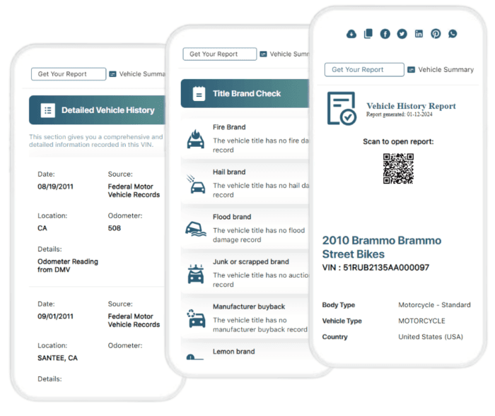 Brammo sample report