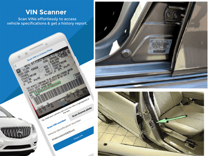 Is the chassis number the same as a vehicle identification number? (explained for beginners)