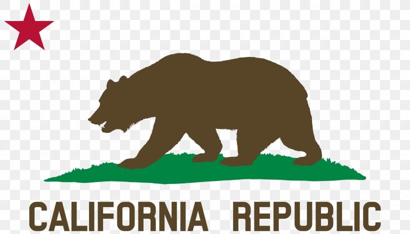 california np license lookup california np license lookup