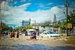 Flood damaged cars