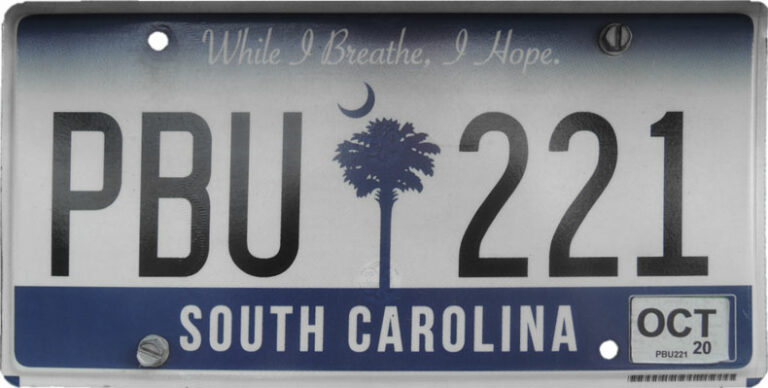 South Carolina License Plate Lookup