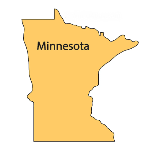 Minnesota VIN Check