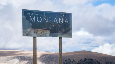 Montana VIN Check and Lookup