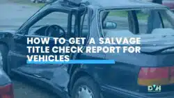 Salvage Title Check