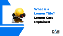 image for what is lemon title article