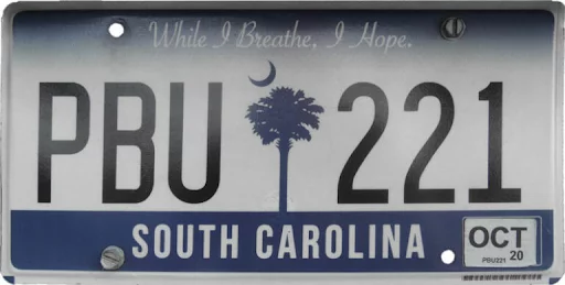 south carolina license plate