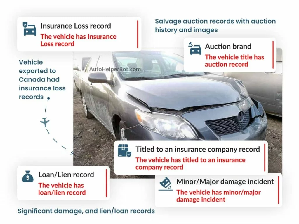 VIN Check Canada report showing insurance loss, auction, lien, and damage records for imported vehicles.