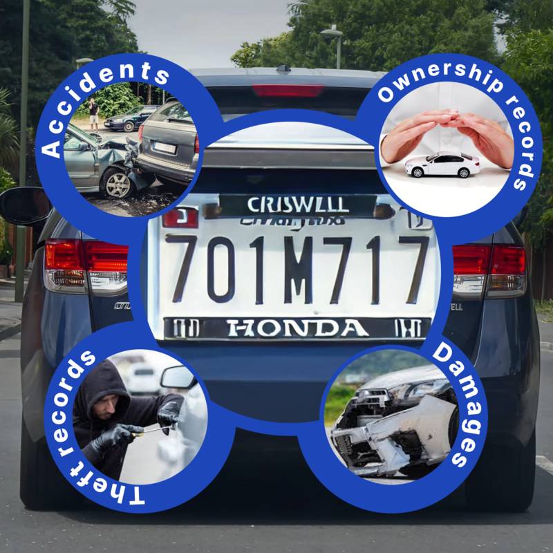 License plate lookup showing a Honda plate with accident, ownership, theft, and damage info